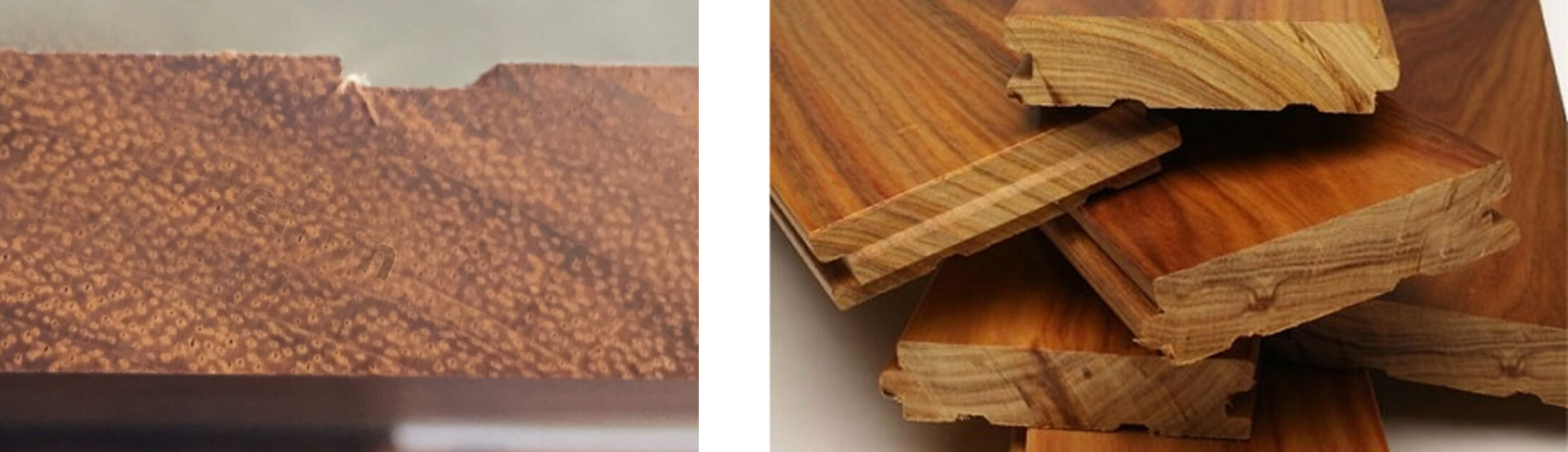 So sánh tôm gỗ của Ván Sàn Căm Xe