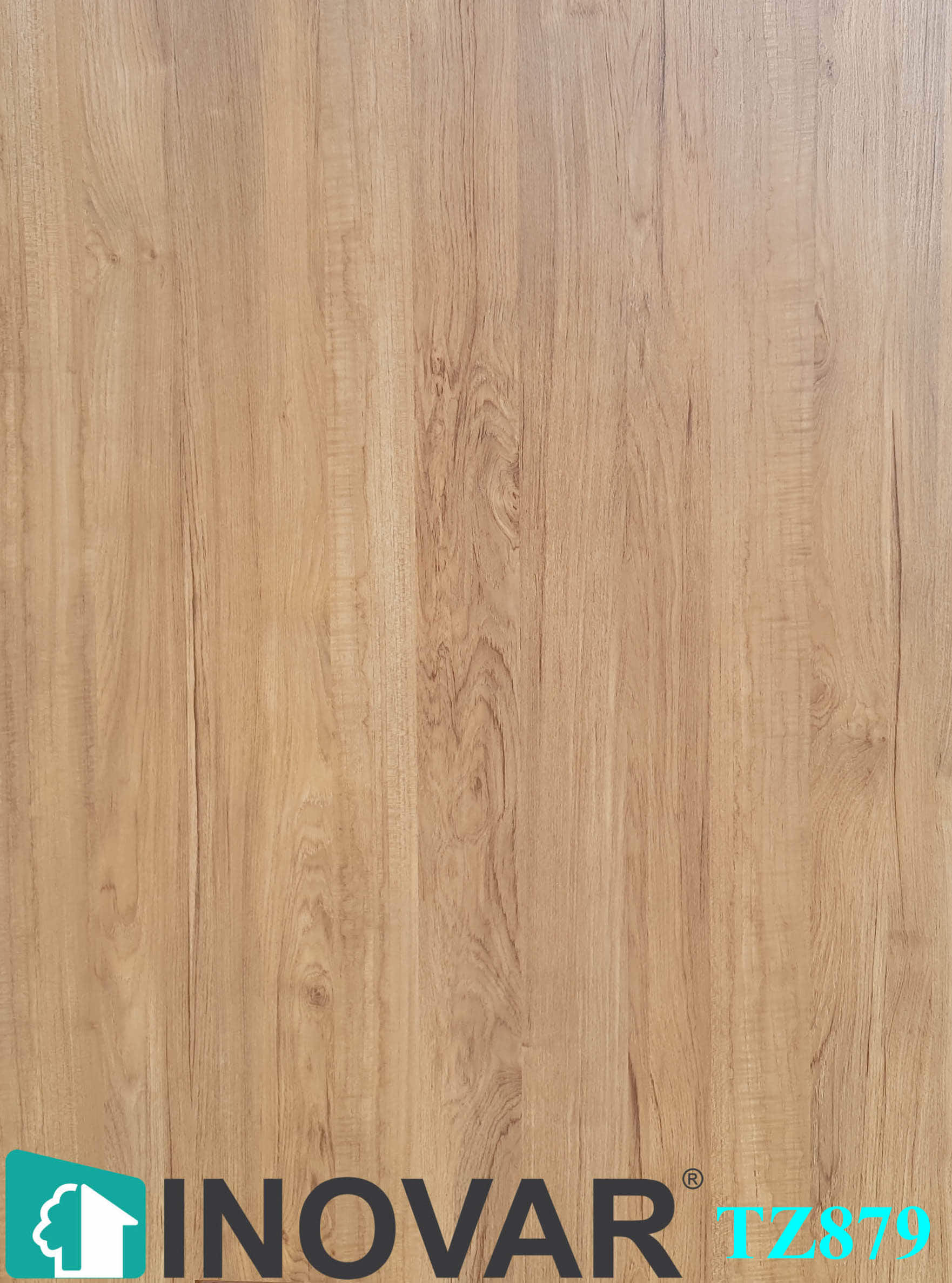 Sàn gỗ Inovar TZ879A