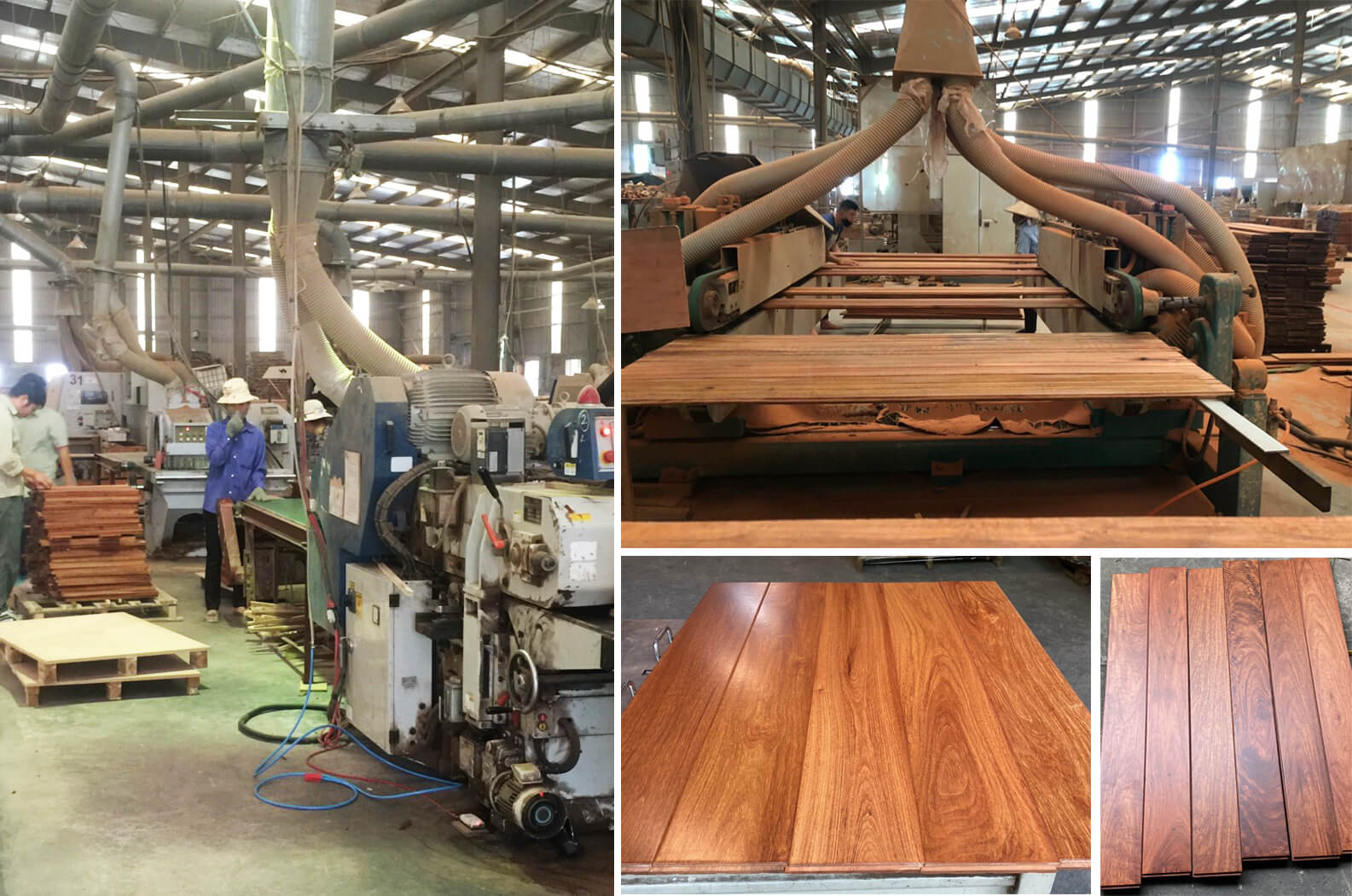 Nhà máy sản xuất sản gỗ tự nhiên Hoàng Phát