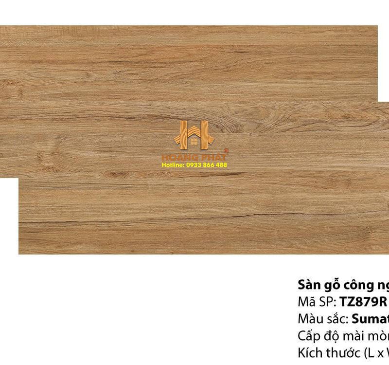 Sàn Gỗ Inovar Malaysia 12mm TZ879R