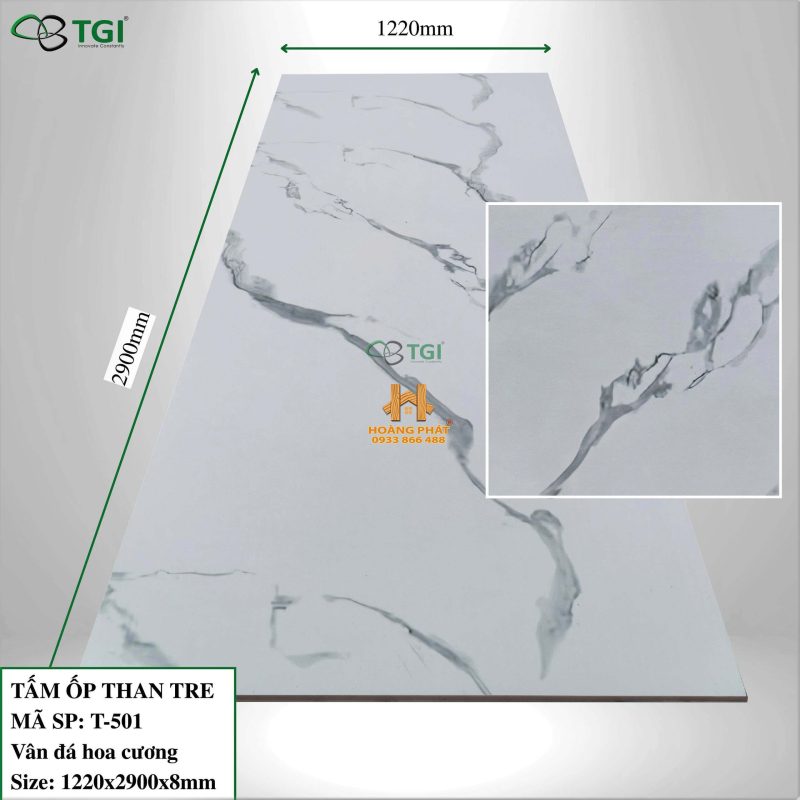 Tấm Ốp Than Tre TGI Vân Đá Hoa Cương T-501
