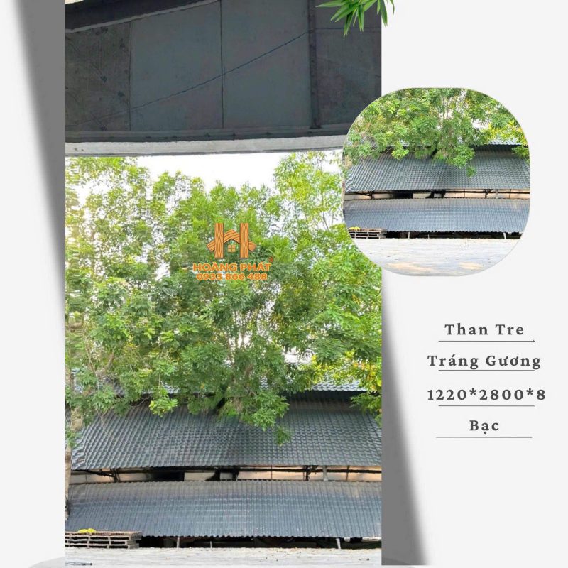 Tấm Ốp Than Tre Bóng Gương Bạc