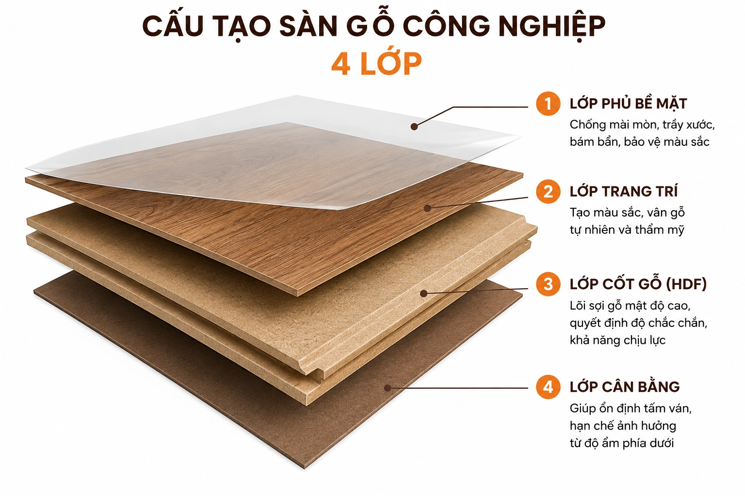 Cấu tạo 4 lớp của sàn gỗ công nghiệp