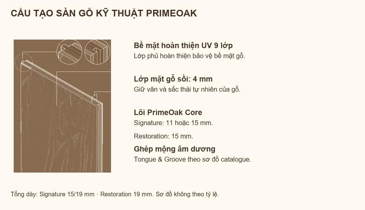 Sàn Gỗ Kỹ Thuật An Cường Vân Bông POF – ST SL S01 1 Sơ đồ cấu tạo sàn gỗ kỹ thuật An Cường PrimeOak: lớp phủ UV, mặt gỗ sồi và lõi PrimeOak Core