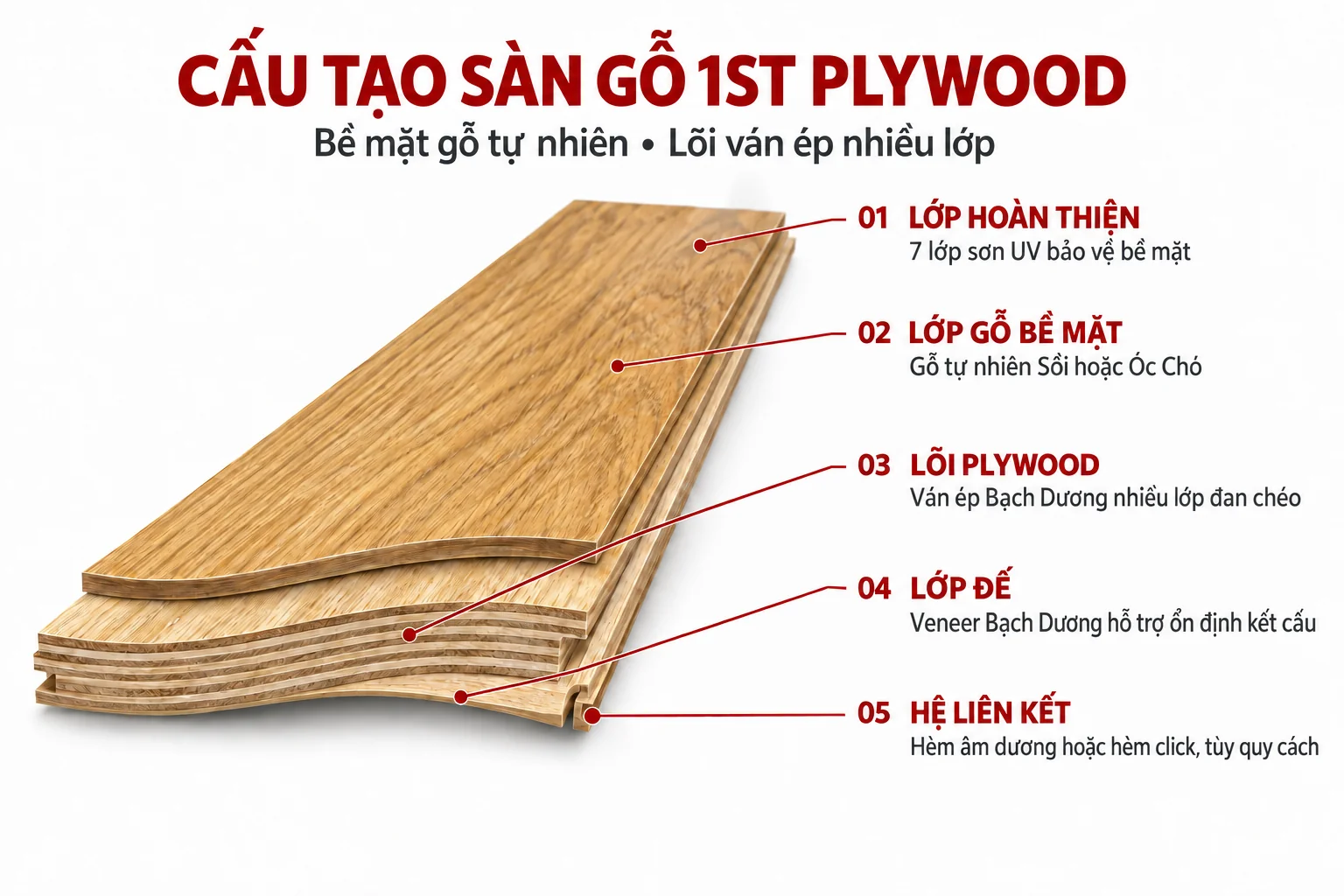 Cấu tạo sàn gỗ 1ST Plywood với bề mặt gỗ tự nhiên, lõi ván ép Bạch Dương và lớp đế