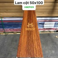 Lam Hộp Nhựa PVC 100 x 50 x 2900mm HKP09