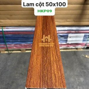 Lam Hộp Nhựa PVC 100 x 50 x 2900mm HKP09