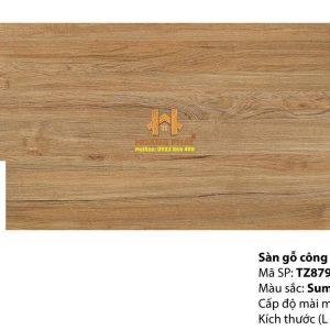 Sàn Gỗ Inovar Malaysia 12mm TZ879R