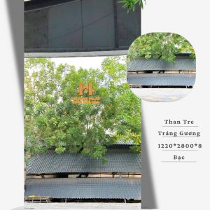 Tấm Ốp Than Tre Bóng Gương Bạc