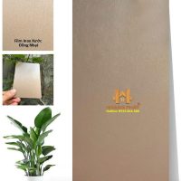 Tấm Ốp Than Tre Iwood Kim Loại Inox Xước MT-5