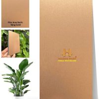 Tấm Ốp Than Tre Iwood Kim Loại Inox Xước MT-6