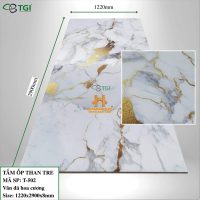 Tấm Ốp Than Tre TGI Vân Đá Hoa Cương T-502