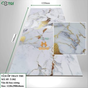 Tấm Ốp Than Tre TGI Vân Đá Hoa Cương T-502