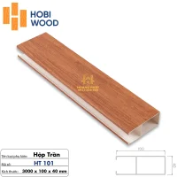 Thanh Lam Hộp Trần 40 x 100 x 3000mm HT101