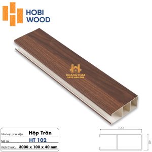 Thanh Lam Hộp Trần 40 x 100 x 3000mm HT102