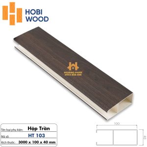 Thanh Lam Hộp Trần 40 x 100 x 3000mm HT103