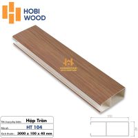 Thanh Lam Hộp Trần 40 x 100 x 3000mm HT104