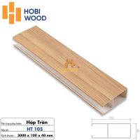 Thanh Lam Hộp Trần 40 x 100 x 3000mm HT105