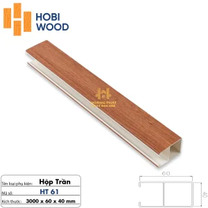 Thanh Lam Hộp Trần 40 x 100 x 3000mm HT61