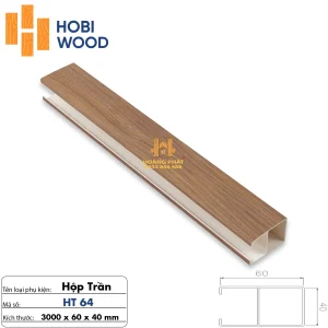 Thanh Lam Hộp Trần 40 x 100 x 3000mm HT64