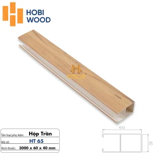 Thanh Lam Hộp Trần 40 x 100 x 3000mm HT65